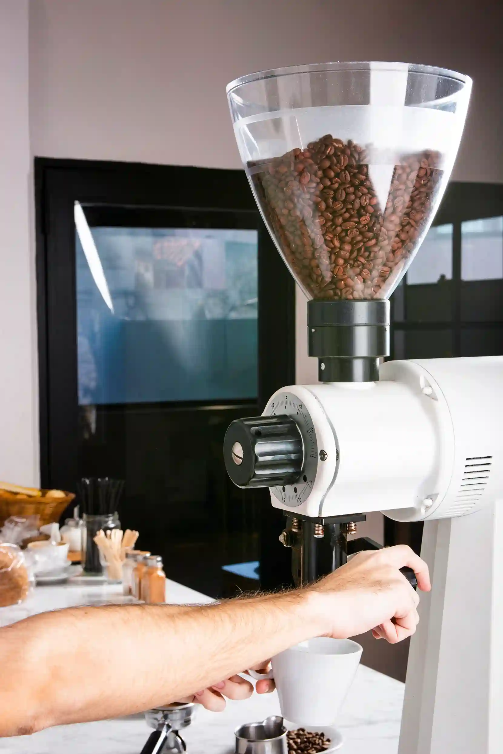 Arabica coffee presentation